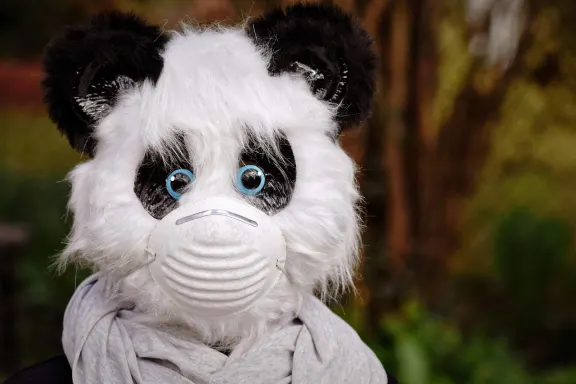 NoxWin Cazino Cazinou Suport